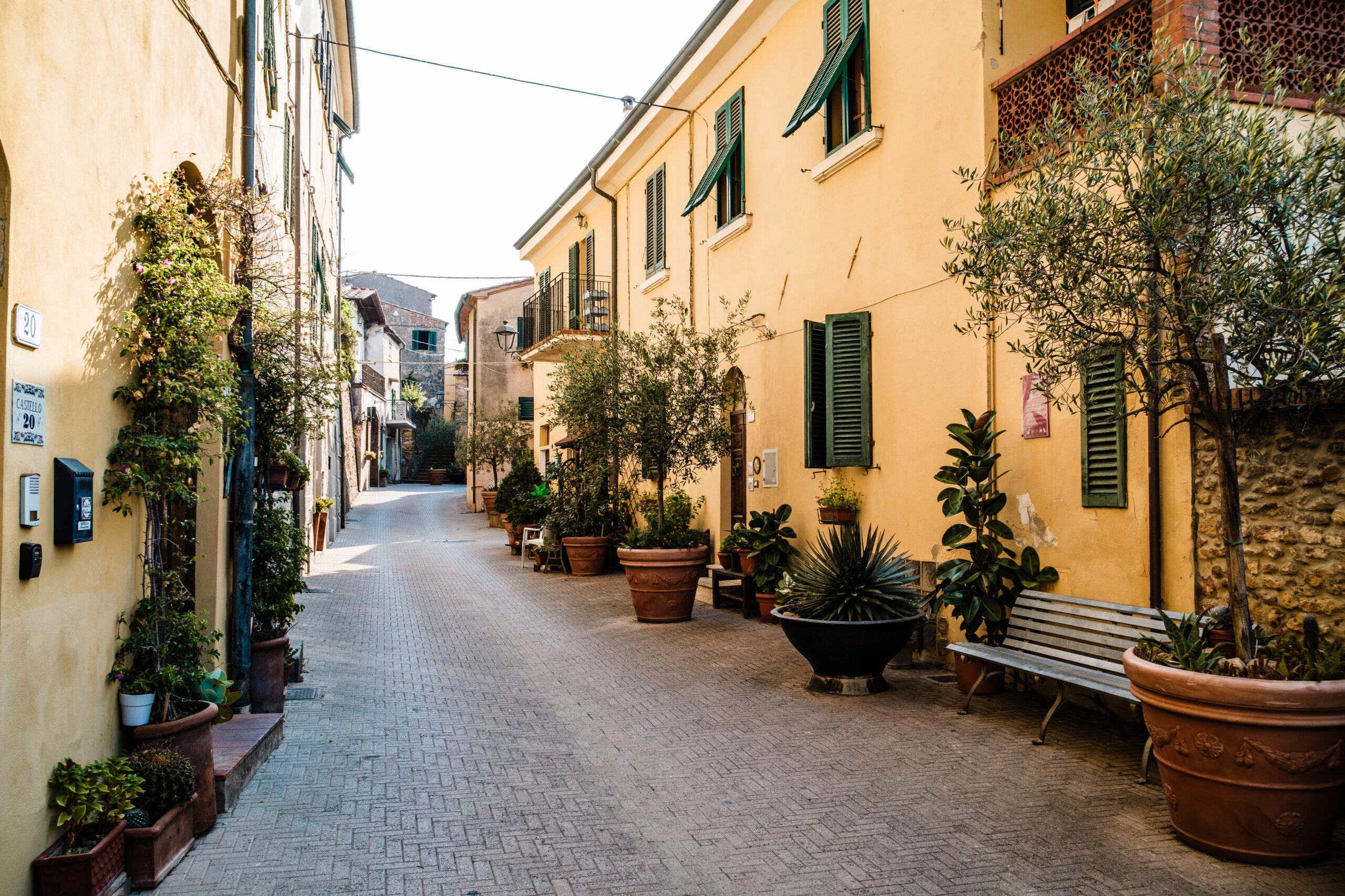 16 Agosto 2026 – Montescudaio
